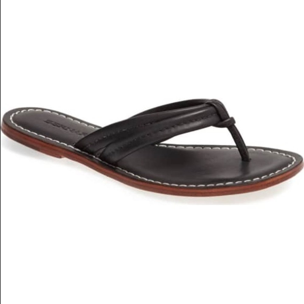 Bernardo Miami Sandal